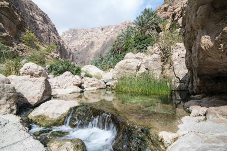 Escursione a Wadi Shab e al Doline di Bimmah | Viaggio lungo la strada costiera