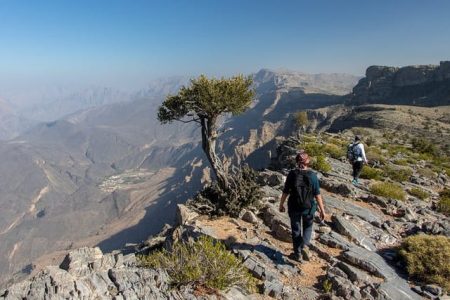 Escursione a Jabal Akhdar e Wadi Bani Habib da Mascate o Nizwa